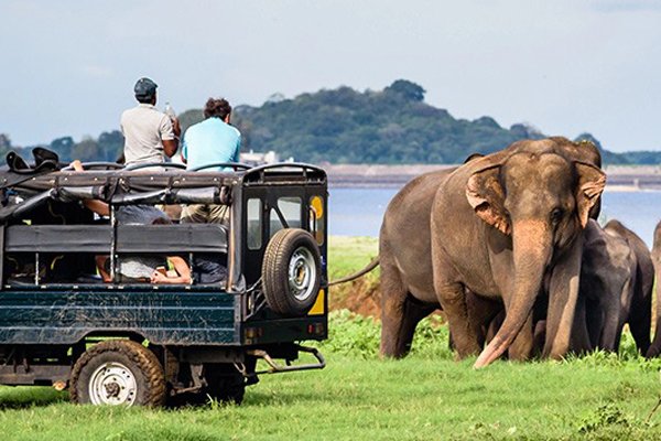 7 Days / 6 Nights Tour